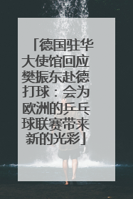 德国驻华大使馆回应樊振东赴德打球：会为欧洲的乒乓球联赛带来新的光彩