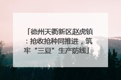 德州天衢新区赵虎镇：抢收抢种同推进，筑牢“三夏”生产防线
