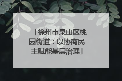 徐州市泉山区桃园街道：以协商民主赋能基层治理