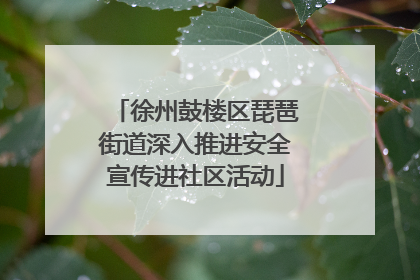 徐州鼓楼区琵琶街道深入推进安全宣传进社区活动