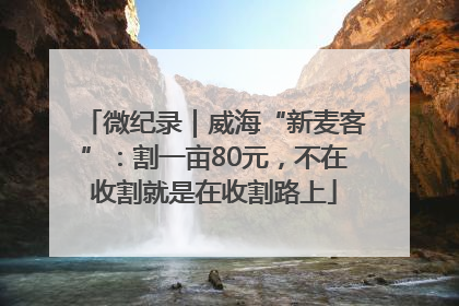 微纪录｜威海“新麦客”：割一亩80元，不在收割就是在收割路上