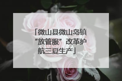 微山县微山岛镇“放管服”改革护航三夏生产
