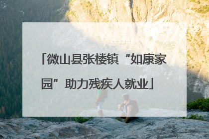 微山县张楼镇“如康家园”助力残疾人就业
