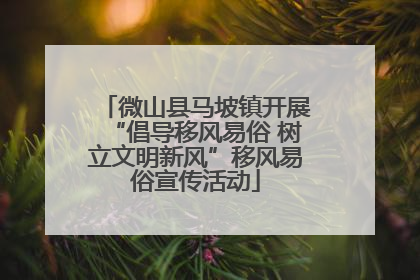 微山县马坡镇开展“倡导移风易俗 树立文明新风”移风易俗宣传活动