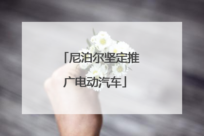 尼泊尔坚定推广电动汽车