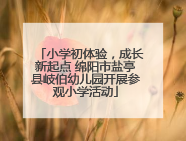 小学初体验，成长新起点 绵阳市盐亭县岐伯幼儿园开展参观小学活动