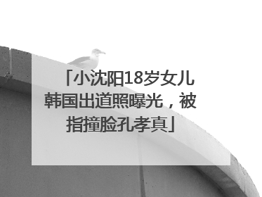 小沈阳18岁女儿韩国出道照曝光，被指撞脸孔孝真