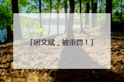 屠文斌，被重罚！