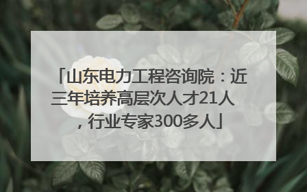山东电力工程咨询院：近三年培养高层次人才21人，行业专家300多人