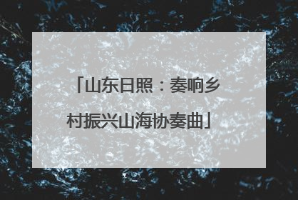 山东日照：奏响乡村振兴山海协奏曲