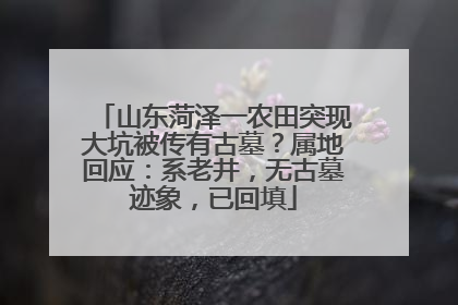山东菏泽一农田突现大坑被传有古墓？属地回应：系老井，无古墓迹象，已回填