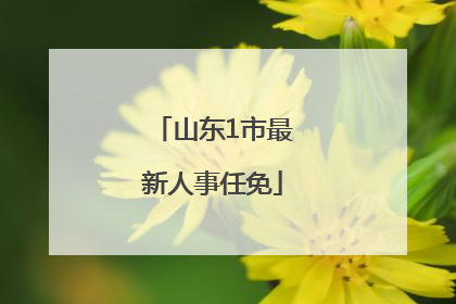 山东1市最新人事任免