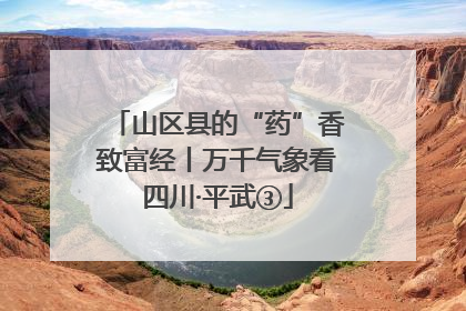 山区县的“药”香致富经丨万千气象看四川·平武③
