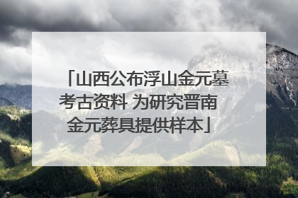 山西公布浮山金元墓考古资料 为研究晋南金元葬具提供样本