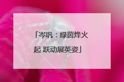 岑巩：绿茵烽火起 跃动展英姿