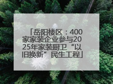 岳阳楼区：400家家装企业参与2025年家装厨卫“以旧换新”民生工程