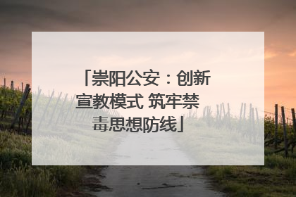 崇阳公安：创新宣教模式 筑牢禁毒思想防线