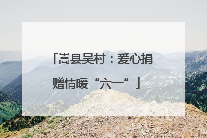 嵩县吴村：爱心捐赠情暖“六一”