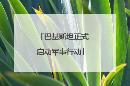 巴基斯坦正式启动军事行动