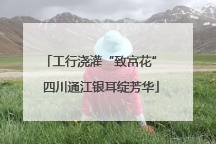 工行浇灌“致富花” 四川通江银耳绽芳华