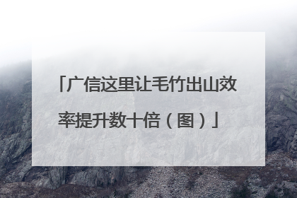 广信这里让毛竹出山效率提升数十倍（图）