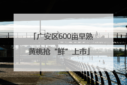 广安区600亩早熟黄桃抢“鲜”上市