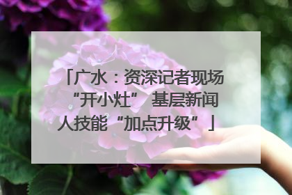 广水：资深记者现场“开小灶” 基层新闻人技能“加点升级”