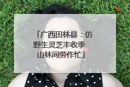 广西田林县：仿野生灵芝丰收季 山林间劳作忙