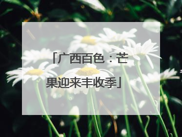 广西百色：芒果迎来丰收季