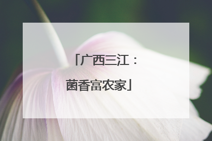 广西三江：菌香富农家