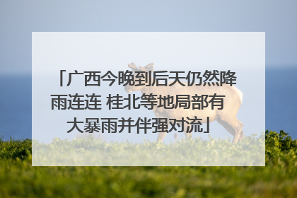 广西今晚到后天仍然降雨连连 桂北等地局部有大暴雨并伴强对流