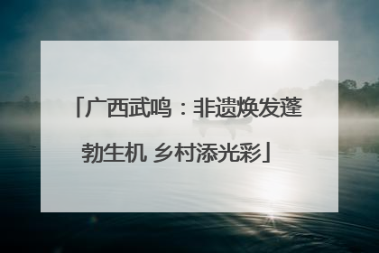 广西武鸣：非遗焕发蓬勃生机 乡村添光彩