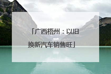 广西梧州：以旧换新汽车销售旺
