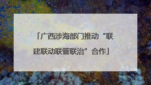 广西涉海部门推动“联建联动联管联治”合作