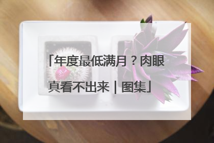 年度最低满月？肉眼真看不出来｜图集