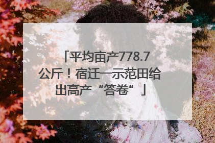 平均亩产778.7公斤！宿迁一示范田给出高产“答卷”