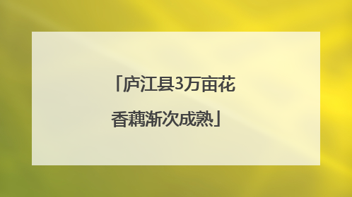 庐江县3万亩花香藕渐次成熟