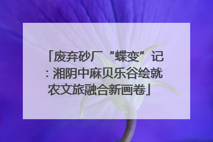 废弃砂厂“蝶变”记：湘阴中麻贝乐谷绘就农文旅融合新画卷