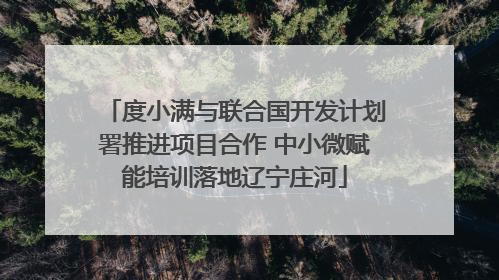 度小满与联合国开发计划署推进项目合作 中小微赋能培训落地辽宁庄河