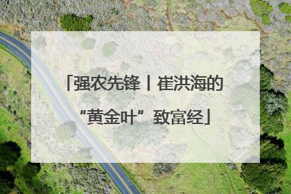 强农先锋丨崔洪海的“黄金叶”致富经