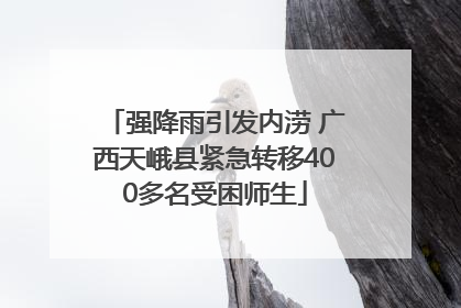 强降雨引发内涝 广西天峨县紧急转移400多名受困师生