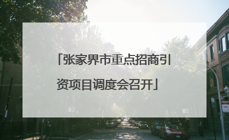 张家界市重点招商引资项目调度会召开