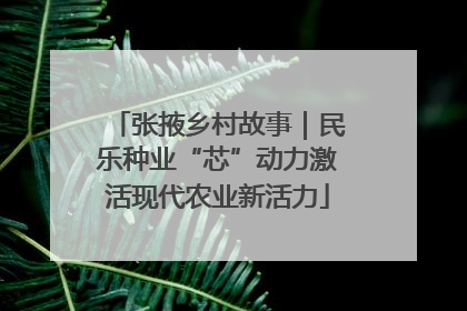 张掖乡村故事｜民乐种业“芯”动力激活现代农业新活力