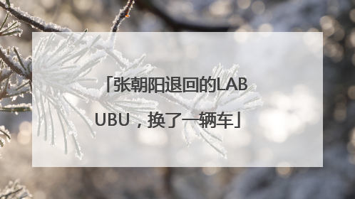 张朝阳退回的LABUBU，换了一辆车