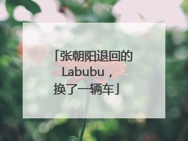 张朝阳退回的Labubu，换了一辆车