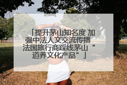 提升茅山知名度 加强中法人文交流传播 法国旅行商踩线茅山“道养文化产品”