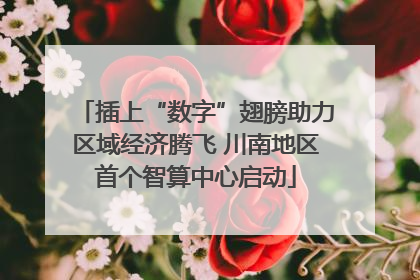 插上“数字”翅膀助力区域经济腾飞 川南地区首个智算中心启动