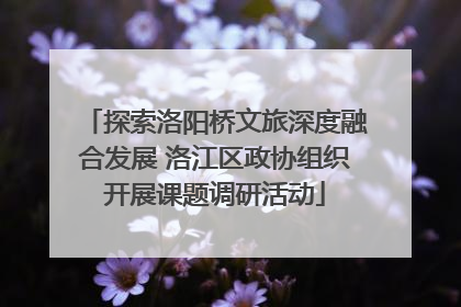 探索洛阳桥文旅深度融合发展 洛江区政协组织开展课题调研活动