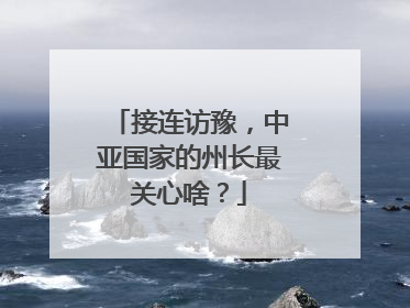 接连访豫，中亚国家的州长最关心啥？