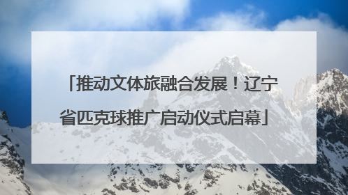 推动文体旅融合发展！辽宁省匹克球推广启动仪式启幕